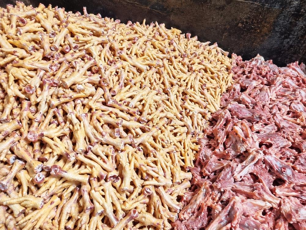 Segregated poultry raw material at intake